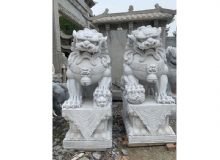 点击查看详细信息<br>标题：石雕狮子 阅读次数：1693